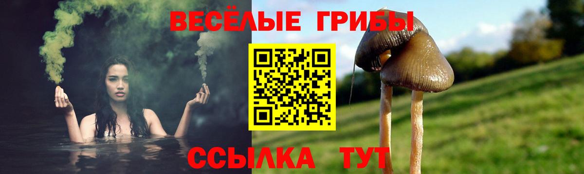 Галлюциногенные грибы Psilocybe  Вход с VPN  Медногорск  Псилоцибиновые грибы Psilocybine cubensis 